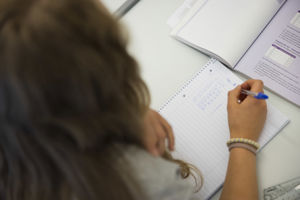 Elev som skriv i ei bok. Foto: Reed foto