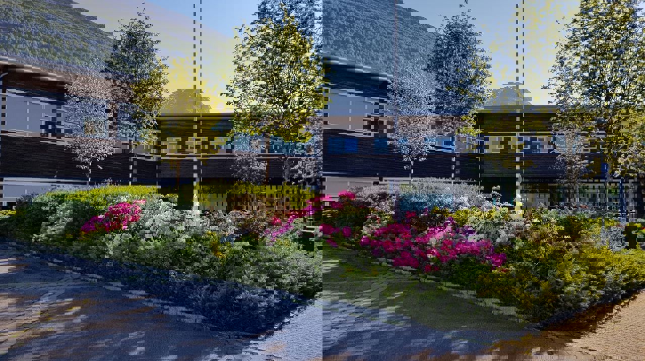 Bilde av hagen på vestsida av skule i flott vårver. Foto: Stryn vgs
