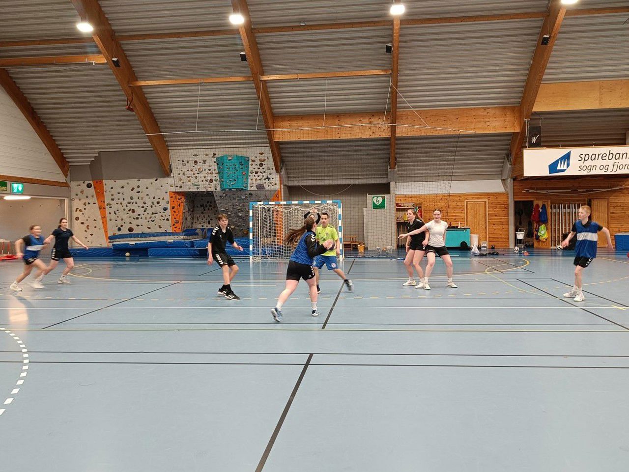 Handballspeling i Strynehallen. Foto: Stryn vgs